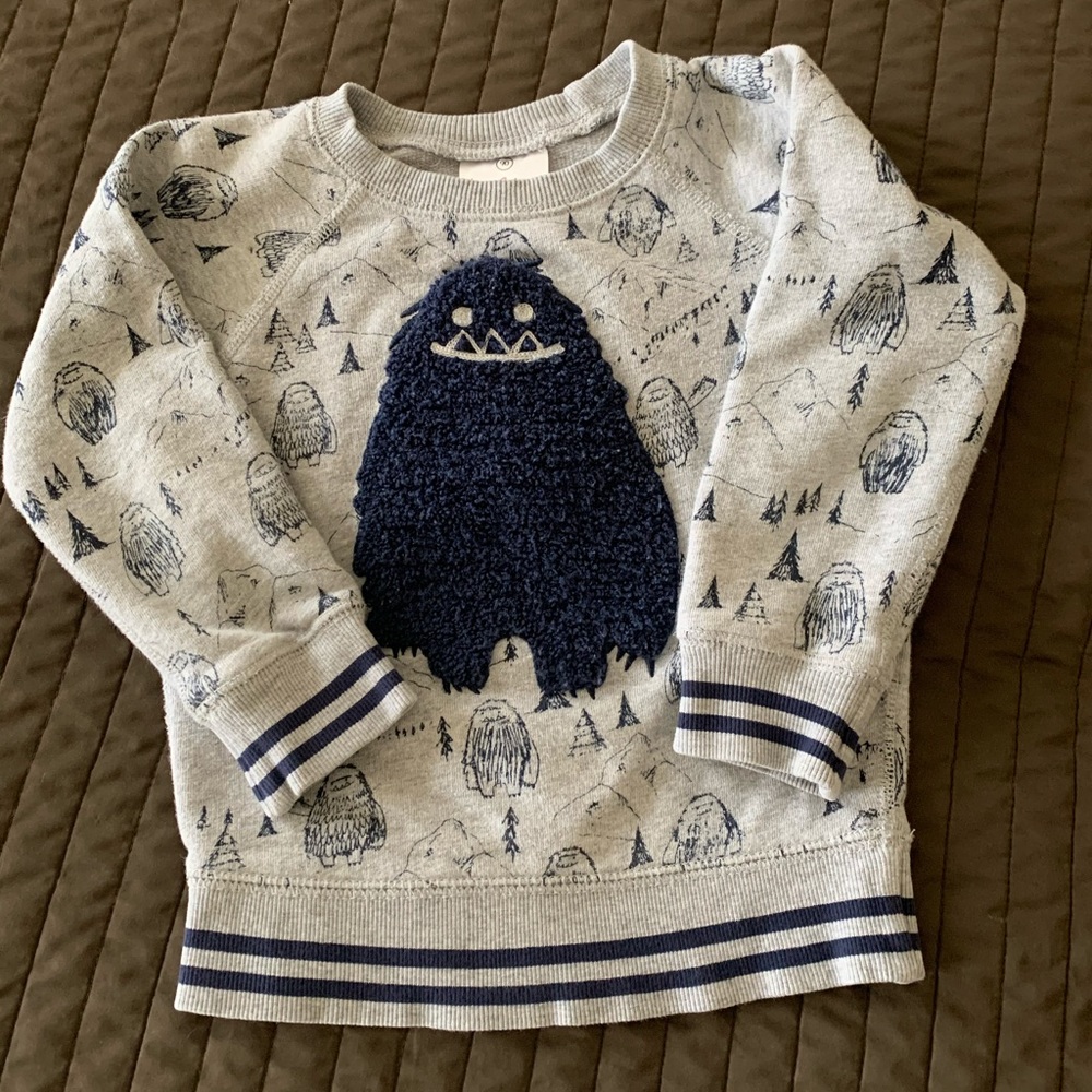 Boys sweatshirt size 3T